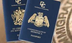 Как получить гражданство Доминики?